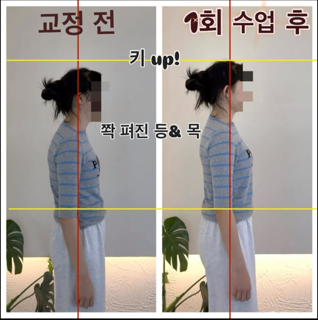 PROGRAMS 선릉 청소년 필라테스 키성장 자세 교정 대치동 성장판 자극 운동